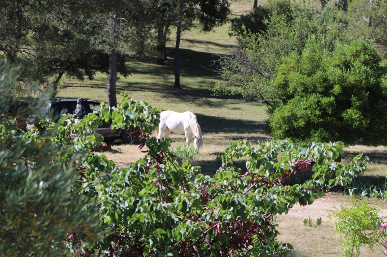 Mas Serre Plume Bed & Breakfast Saint-Bauzille-de-Montmel ภายนอก รูปภาพ